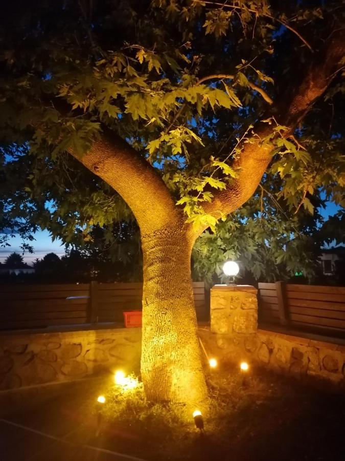 Vital Home Sapanca Isitmali Havuzlu Villa&Bungalov Esterno foto